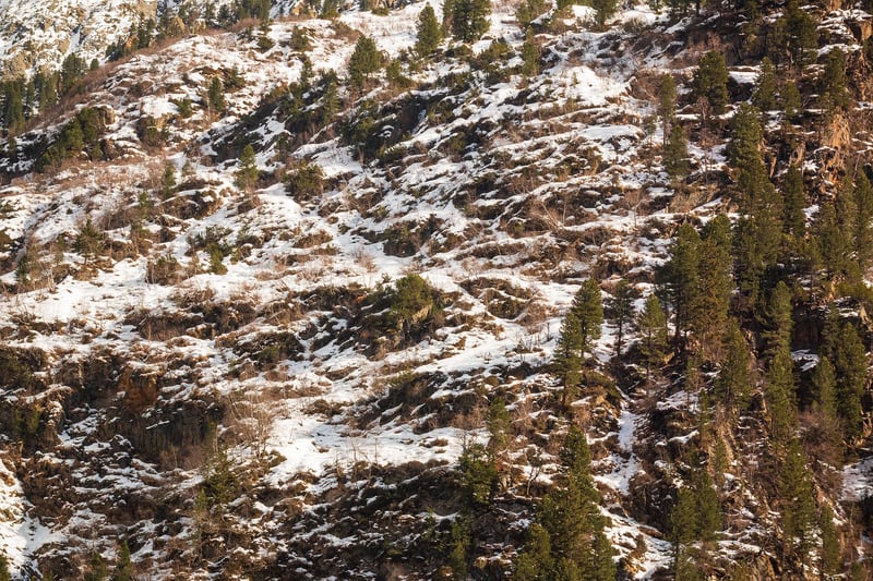 Mountain Landscape